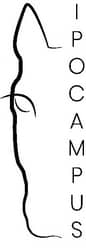 Formation Ipocampus logo